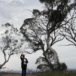 yrtleford - Avventura con il 4x4 sul mt. buffalo national park.